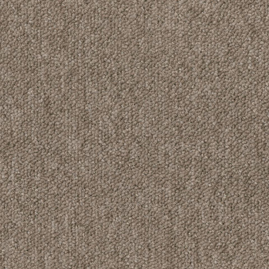 Essence 2923