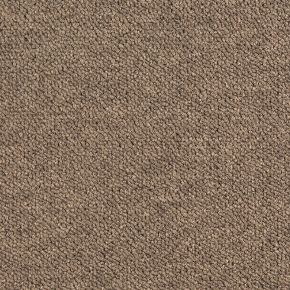 Essence 2925