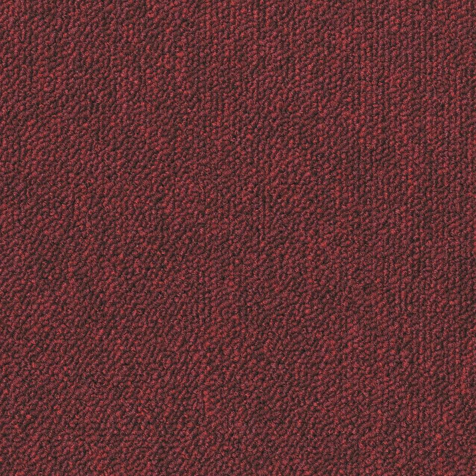 Essence 4218