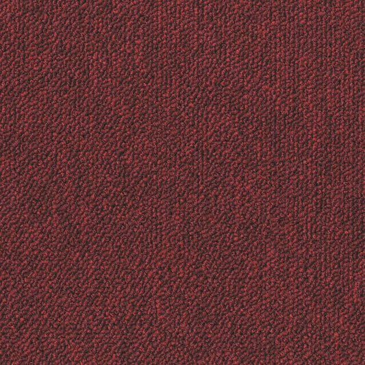 Essence 4218