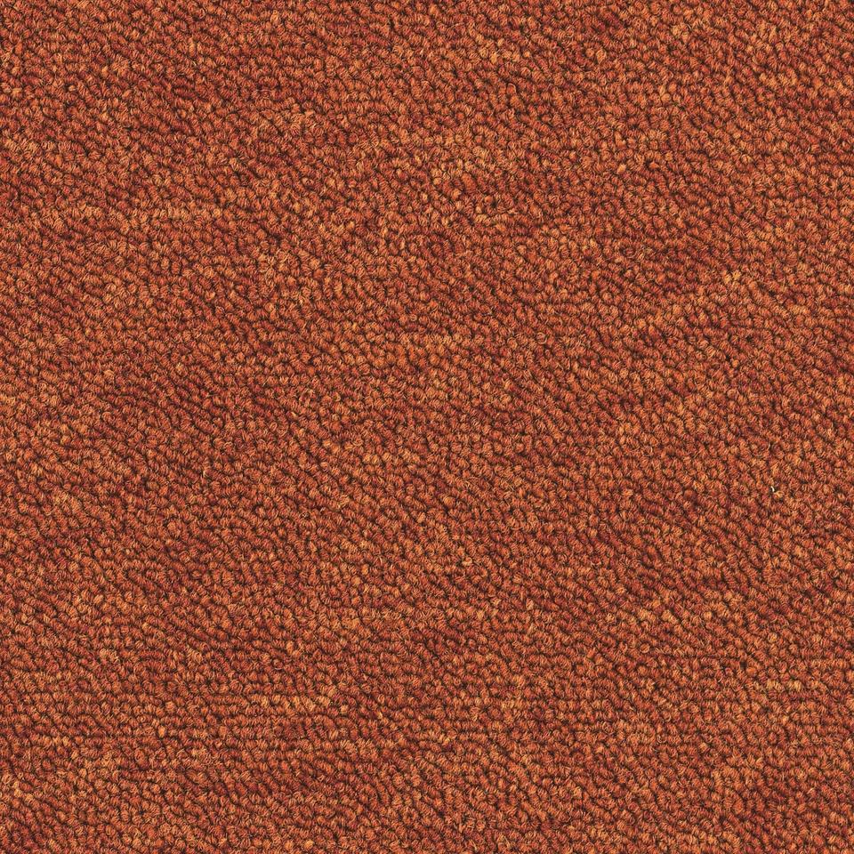 Essence 5012