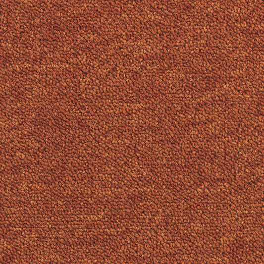 Essence 5012