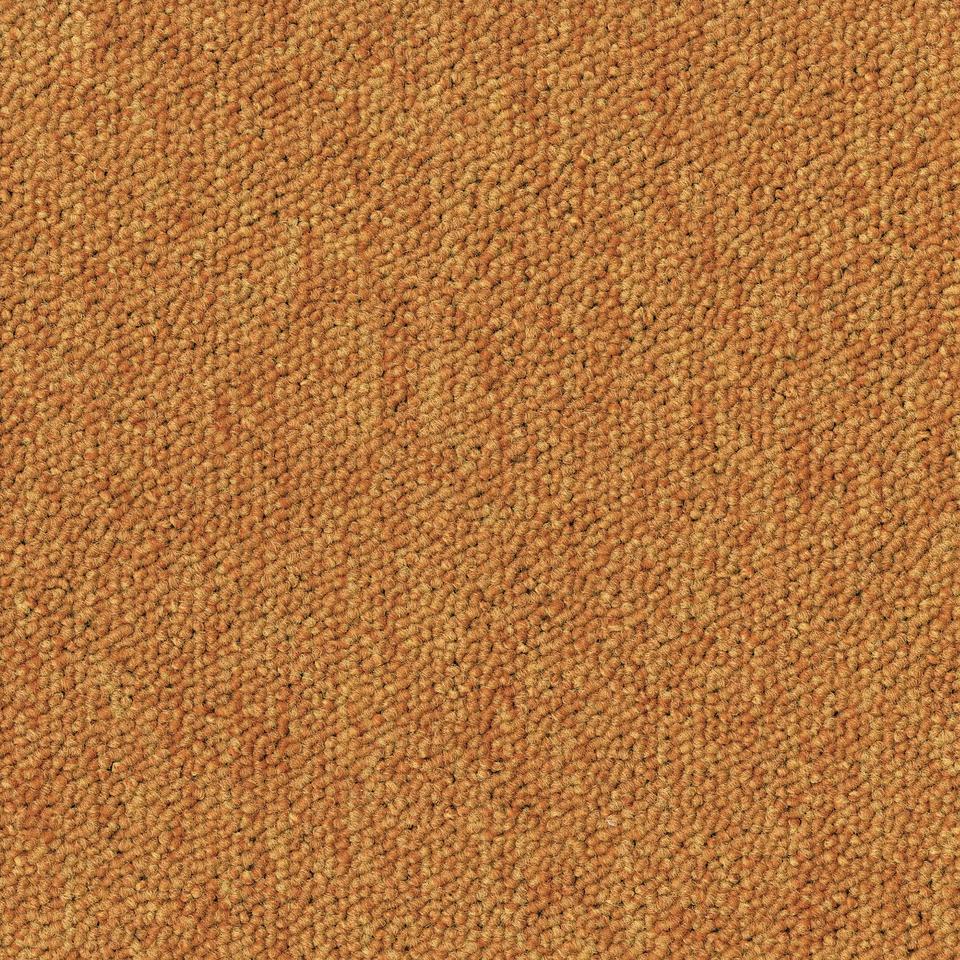Essence 5420