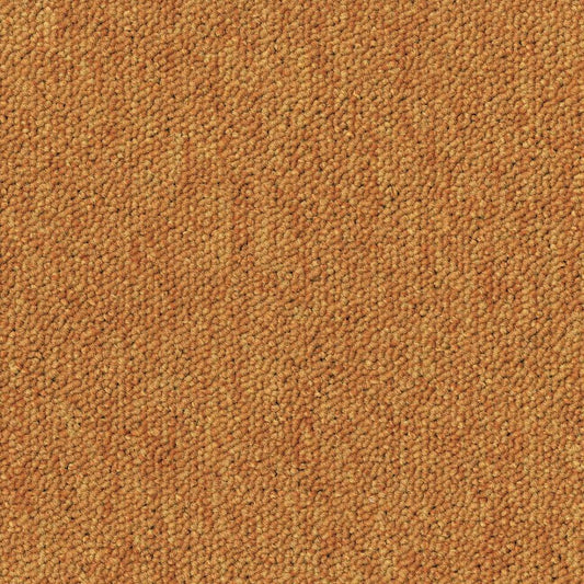 Essence 5420