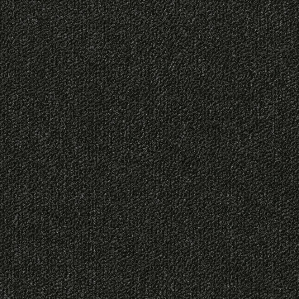 Essence 9031