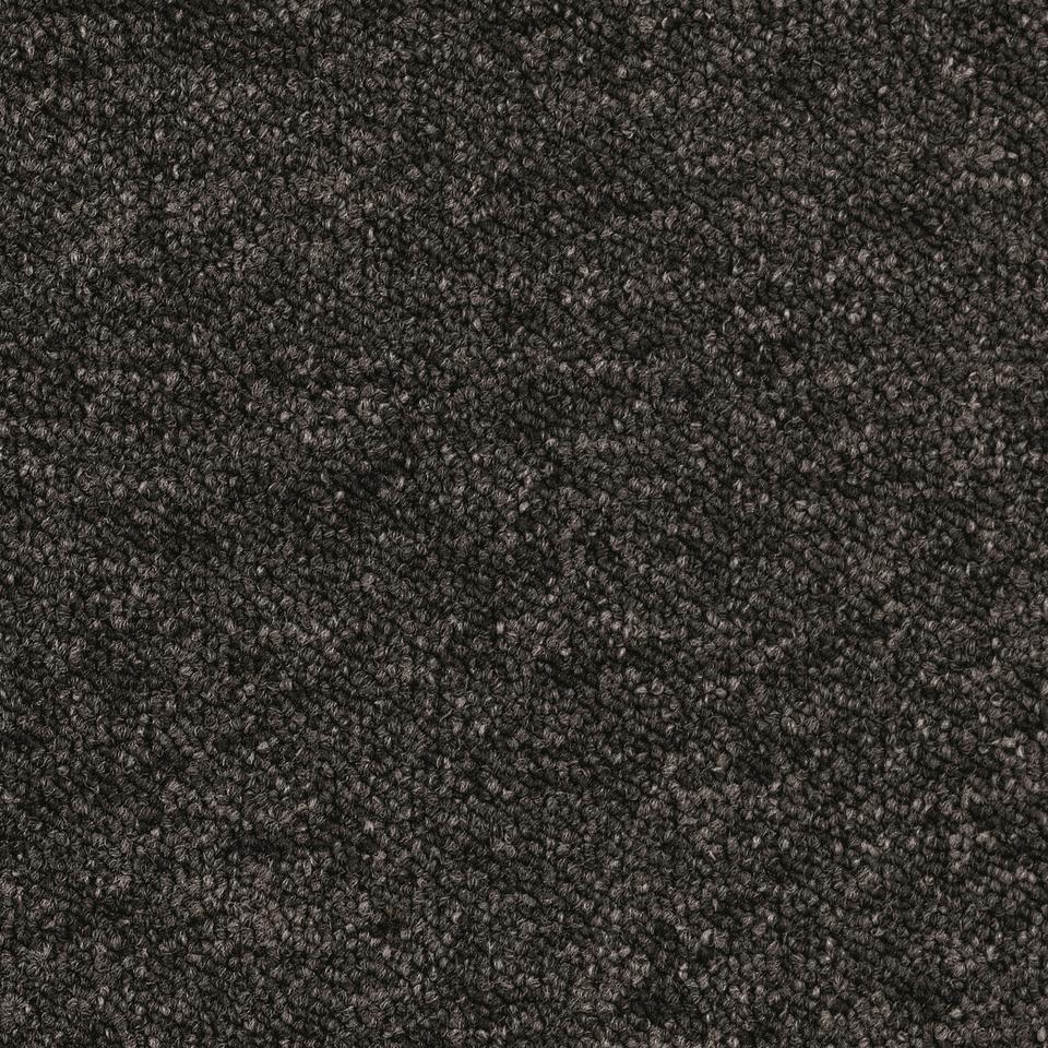 Essence 9981