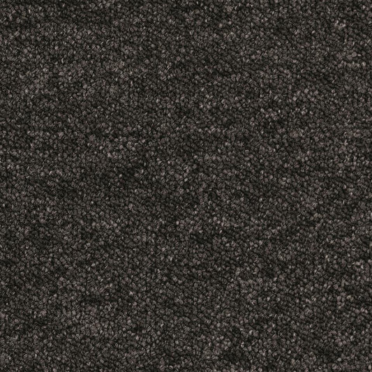 Essence 9981