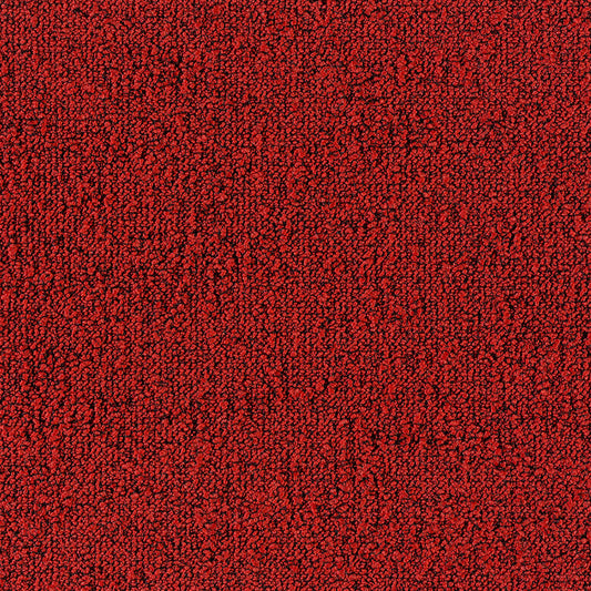 Fields 4202