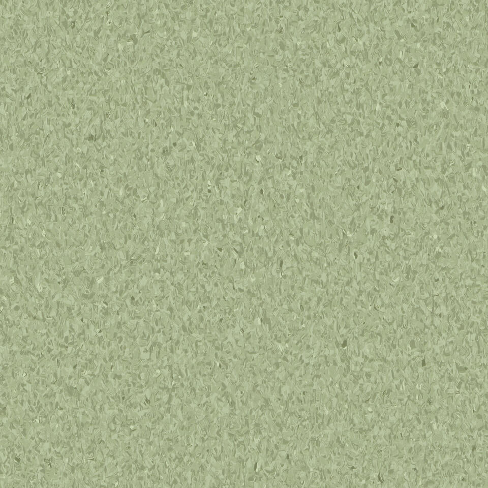 Olive 0412