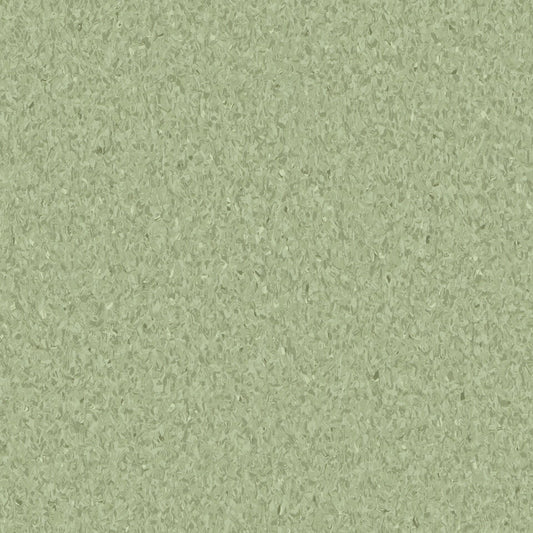 Olive 0412