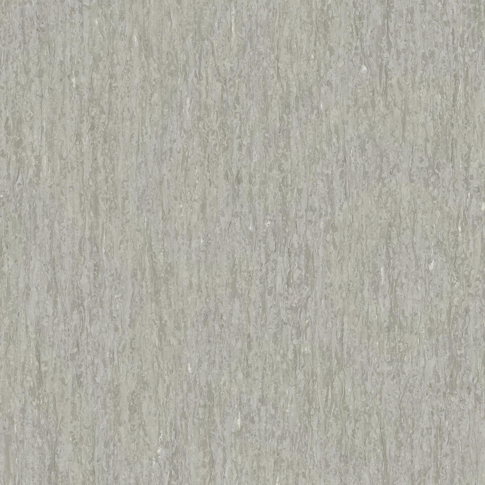 Light Beige Grey 0873
