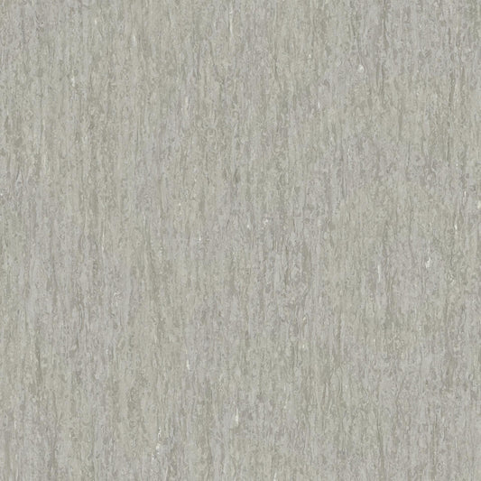 Light Beige Grey 0873
