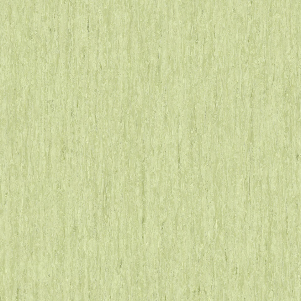 Light Olive Green 0837
