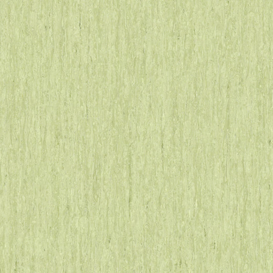Light Olive Green 0837