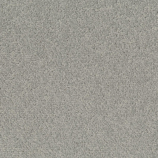 Palatino 1318