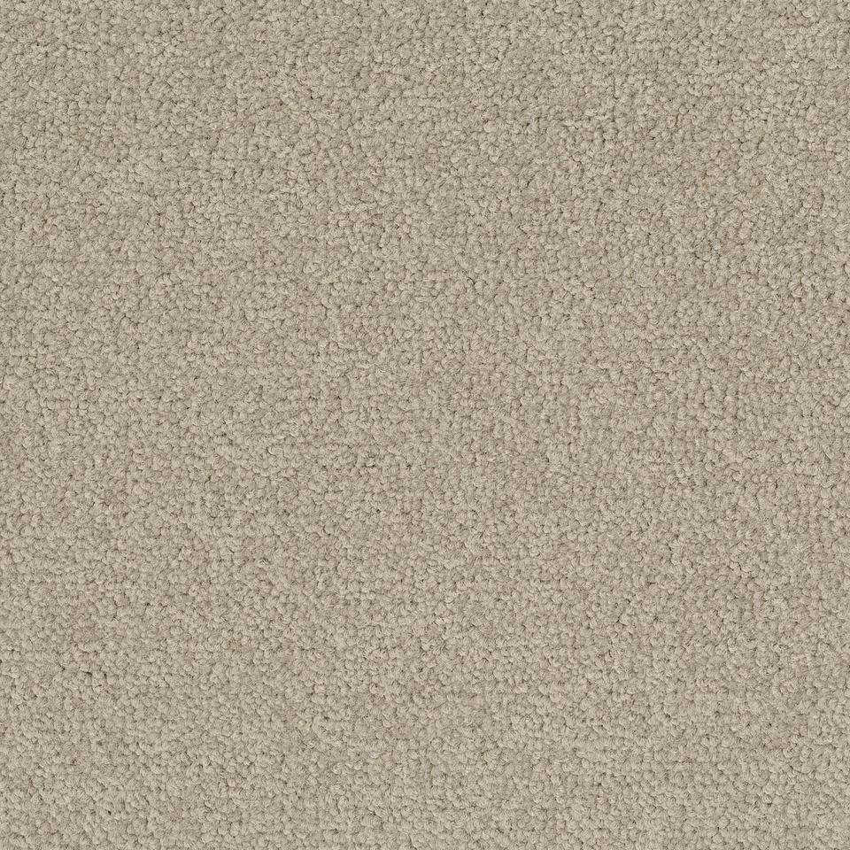 Palatino 1510