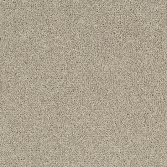 Palatino 1510