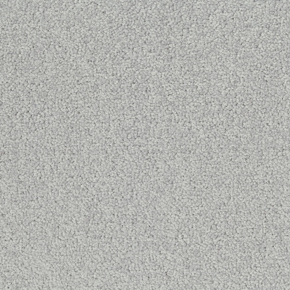 Palatino 2502