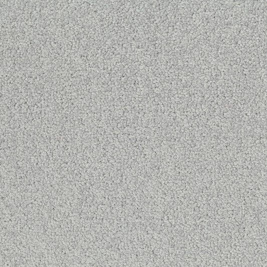 Palatino 2502