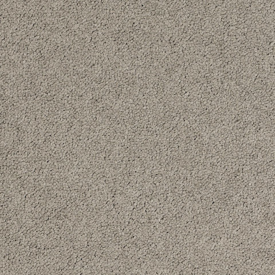 Palatino 2923