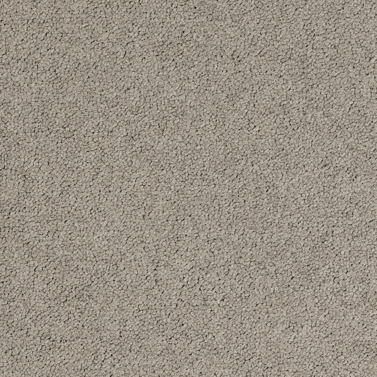 Palatino 2923