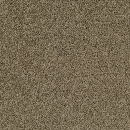 Palatino 2929