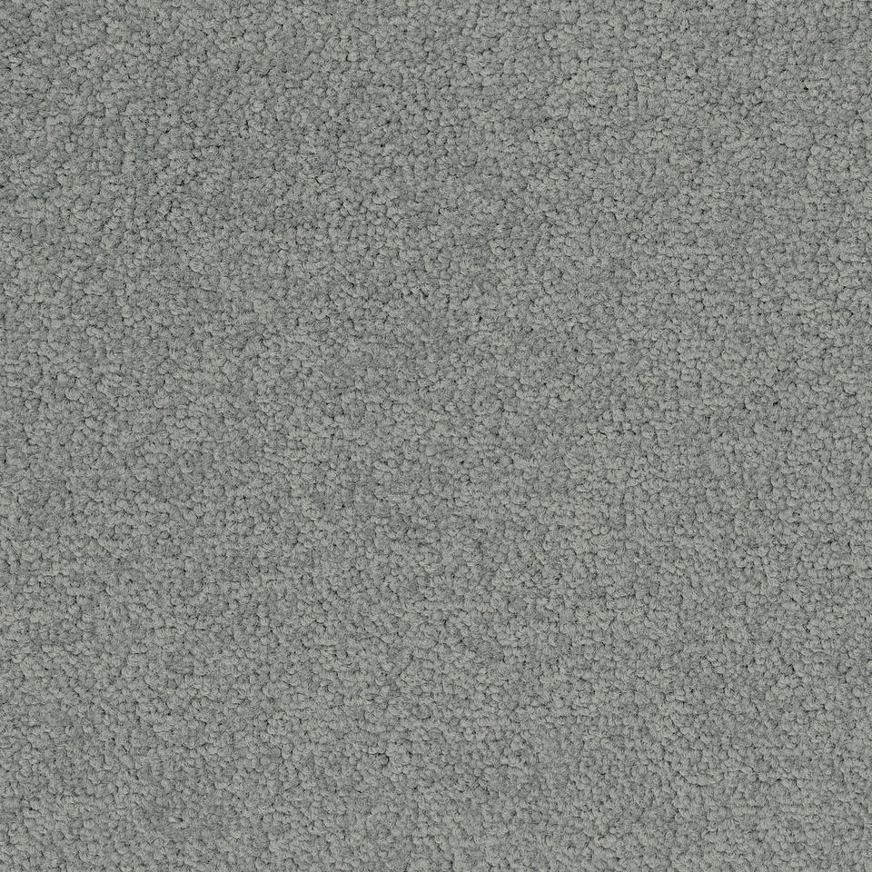 Palatino 3502