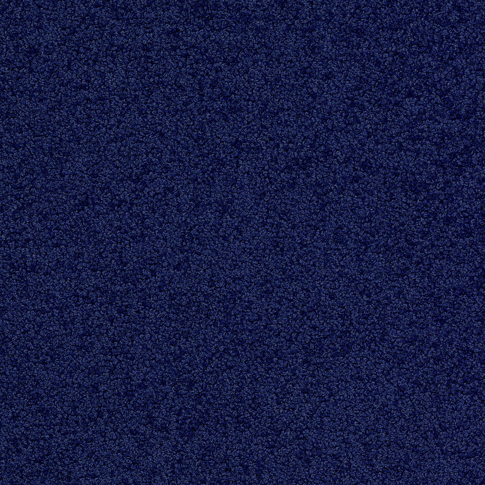 Palatino 3841