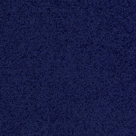 Palatino 3841