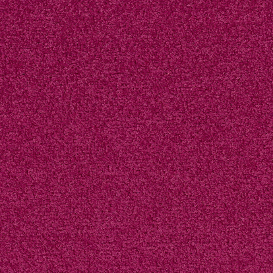 Palatino 4107