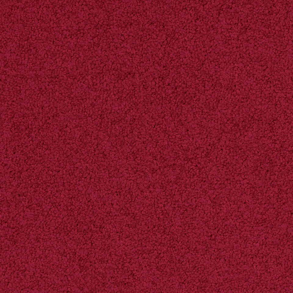 Palatino 4218
