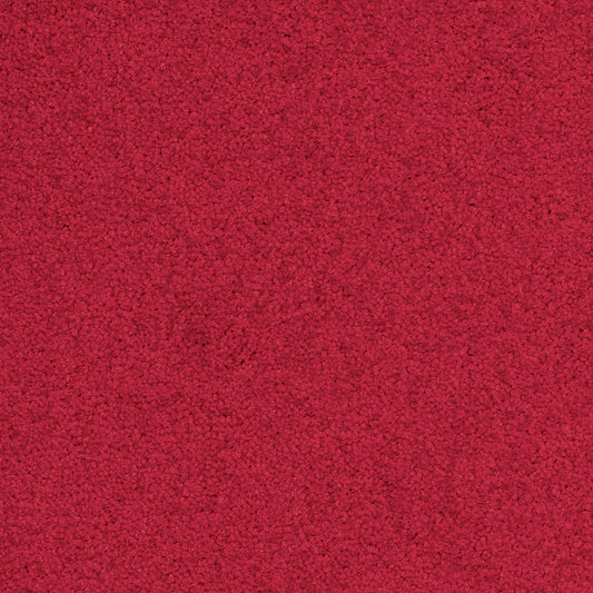 Palatino 4301