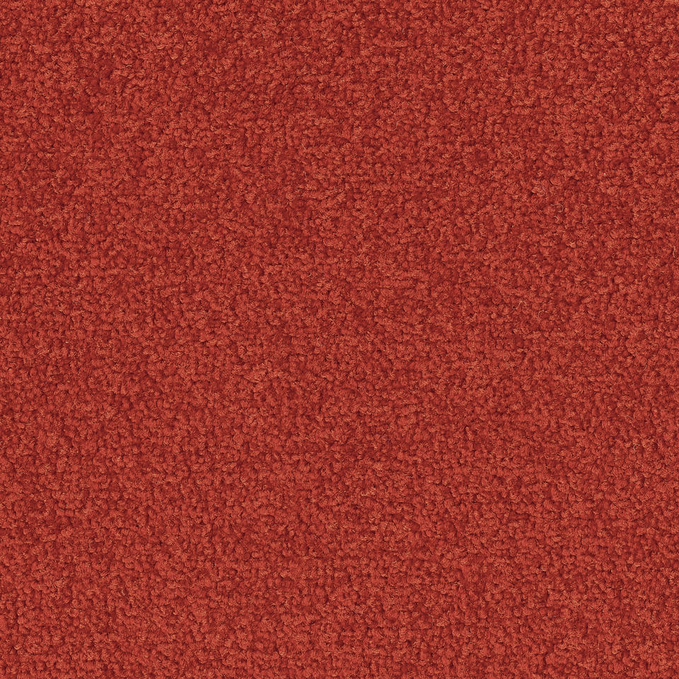 Palatino 4406