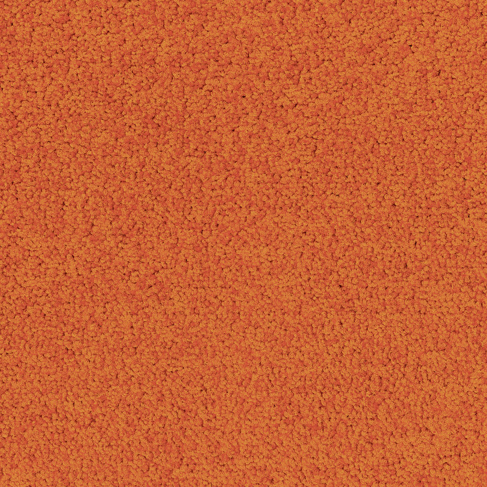 Palatino 5206