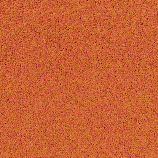 Palatino 5206