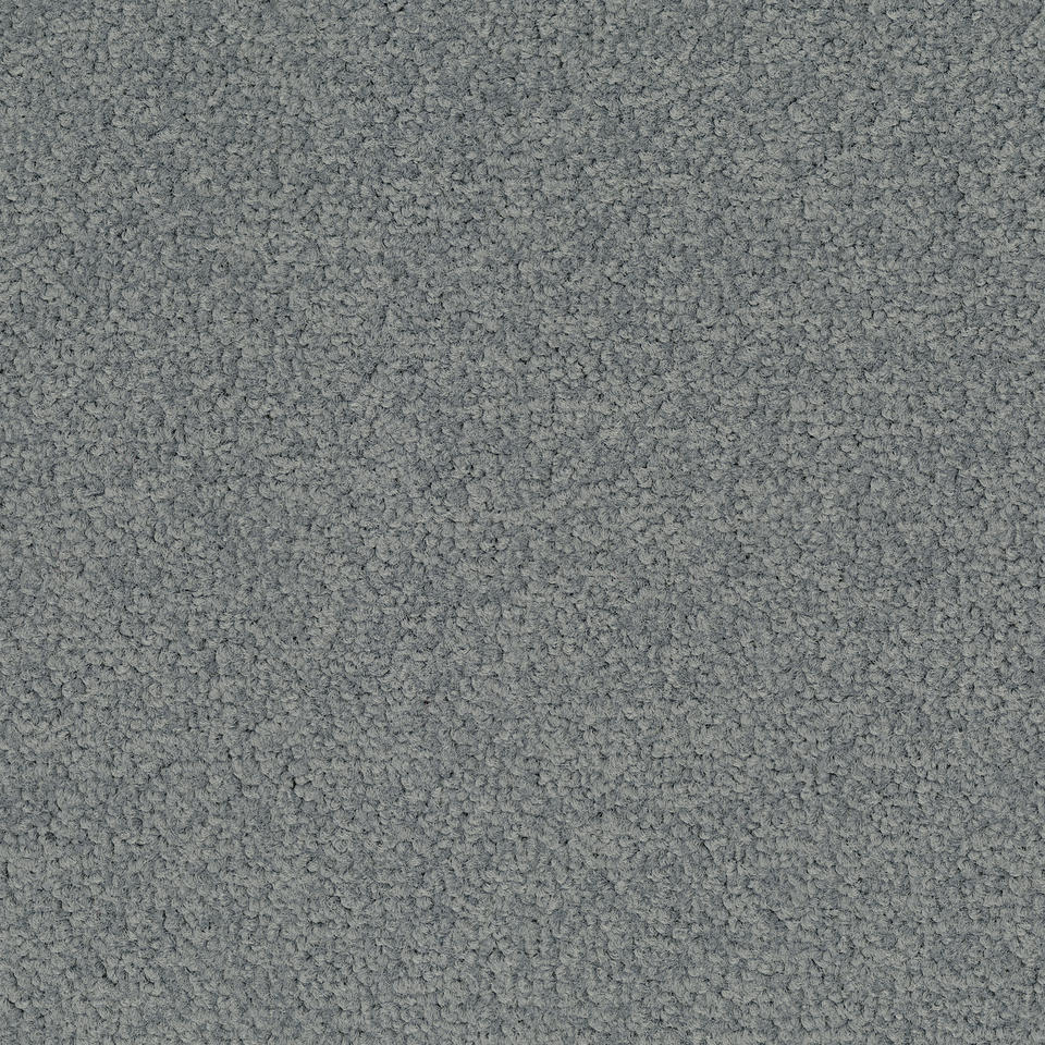 Palatino 5502