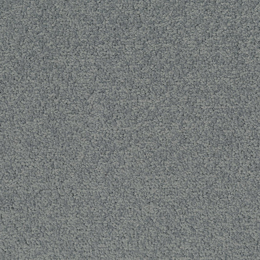 Palatino 5502