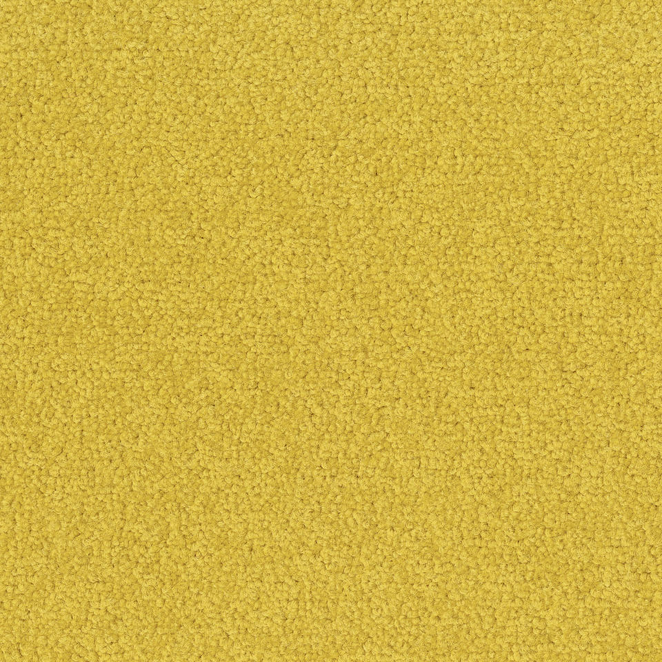 Palatino 6208