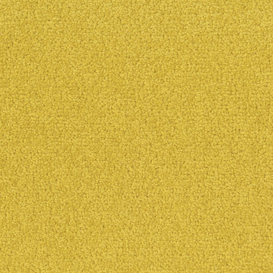 Palatino 6208