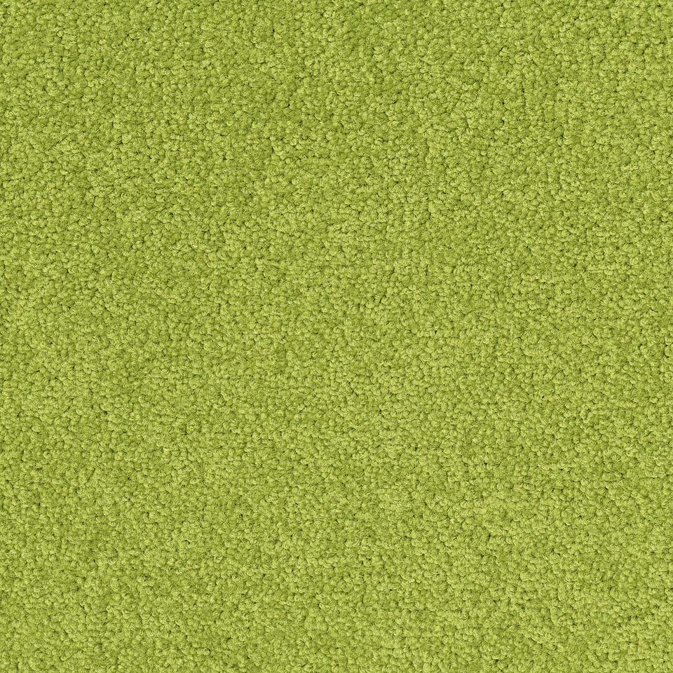 Palatino 7018