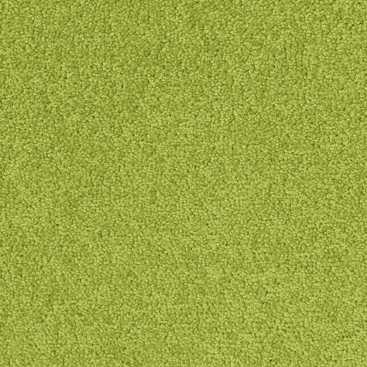 Palatino 7018