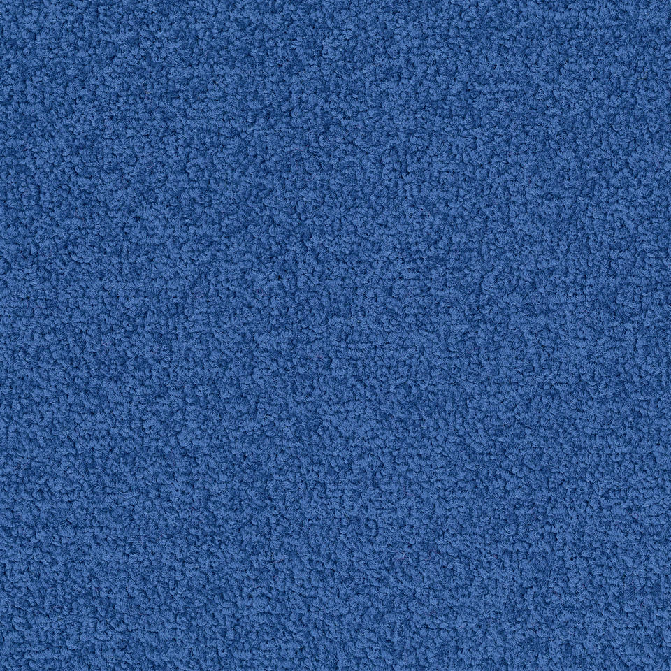 Palatino 8412