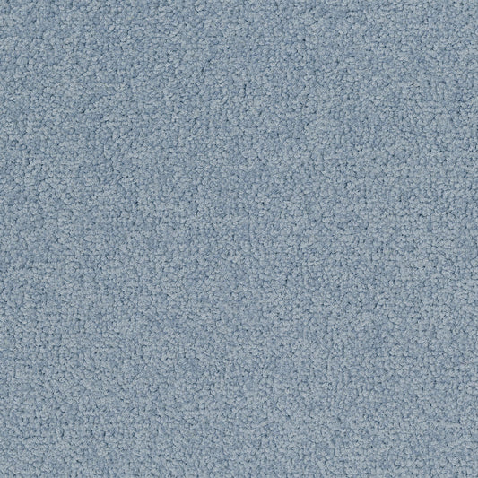 Palatino 8814