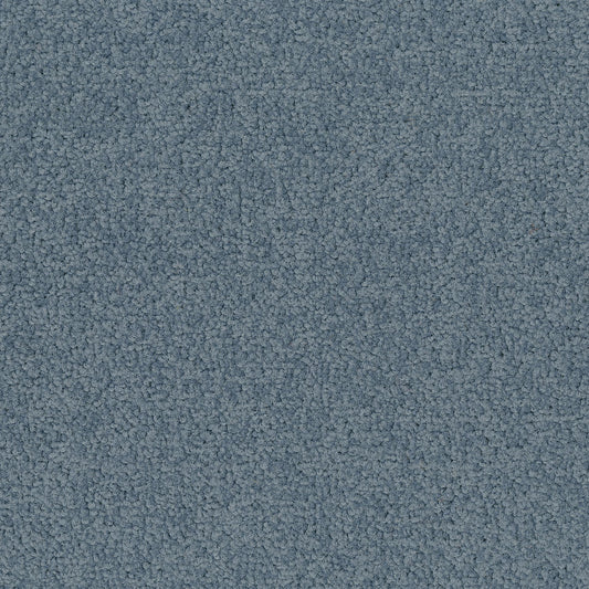 Palatino 8823