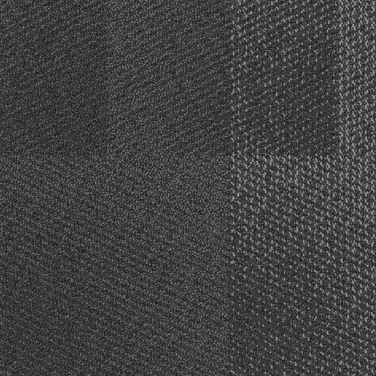 Triumph Everyway Steel carpet tile