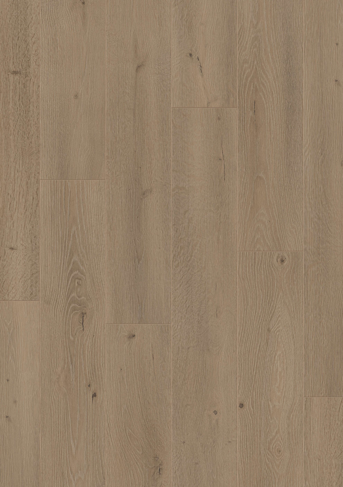 Furlong Neptune Washed Oak Laminate 192x1261mm