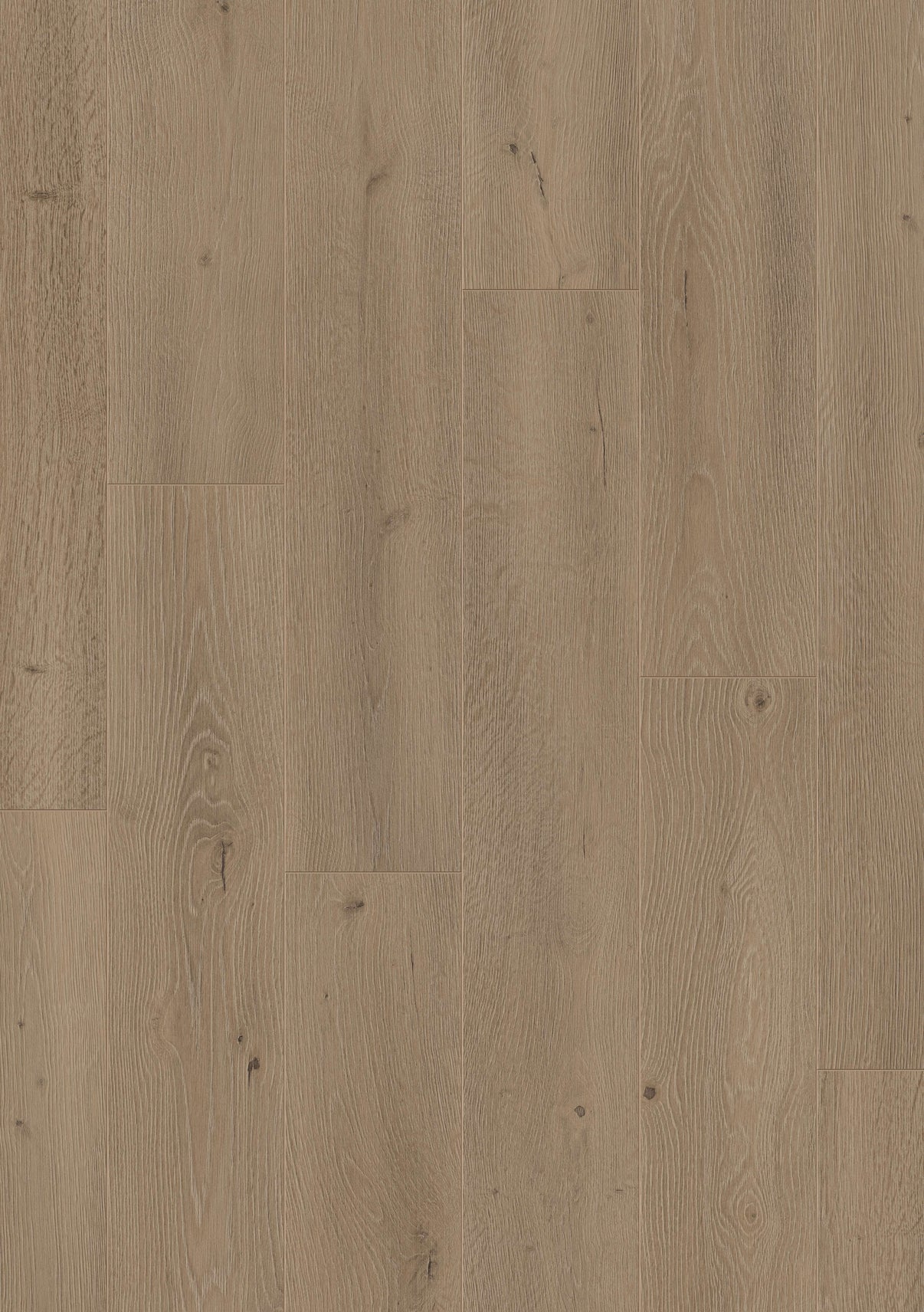Furlong Neptune Washed Oak Laminate 192x1261mm