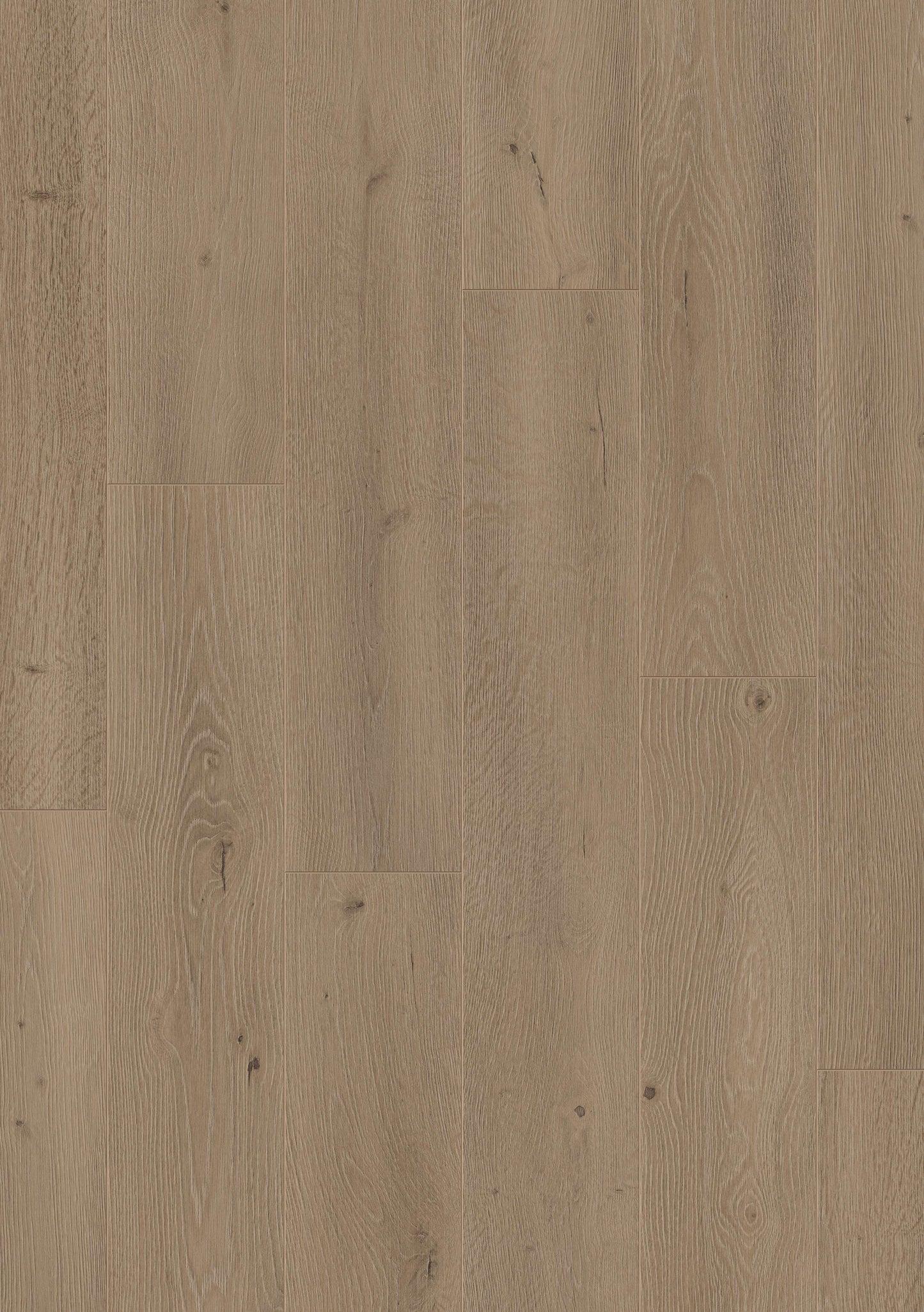 Furlong Neptune Washed Oak Laminate 192x1261mm