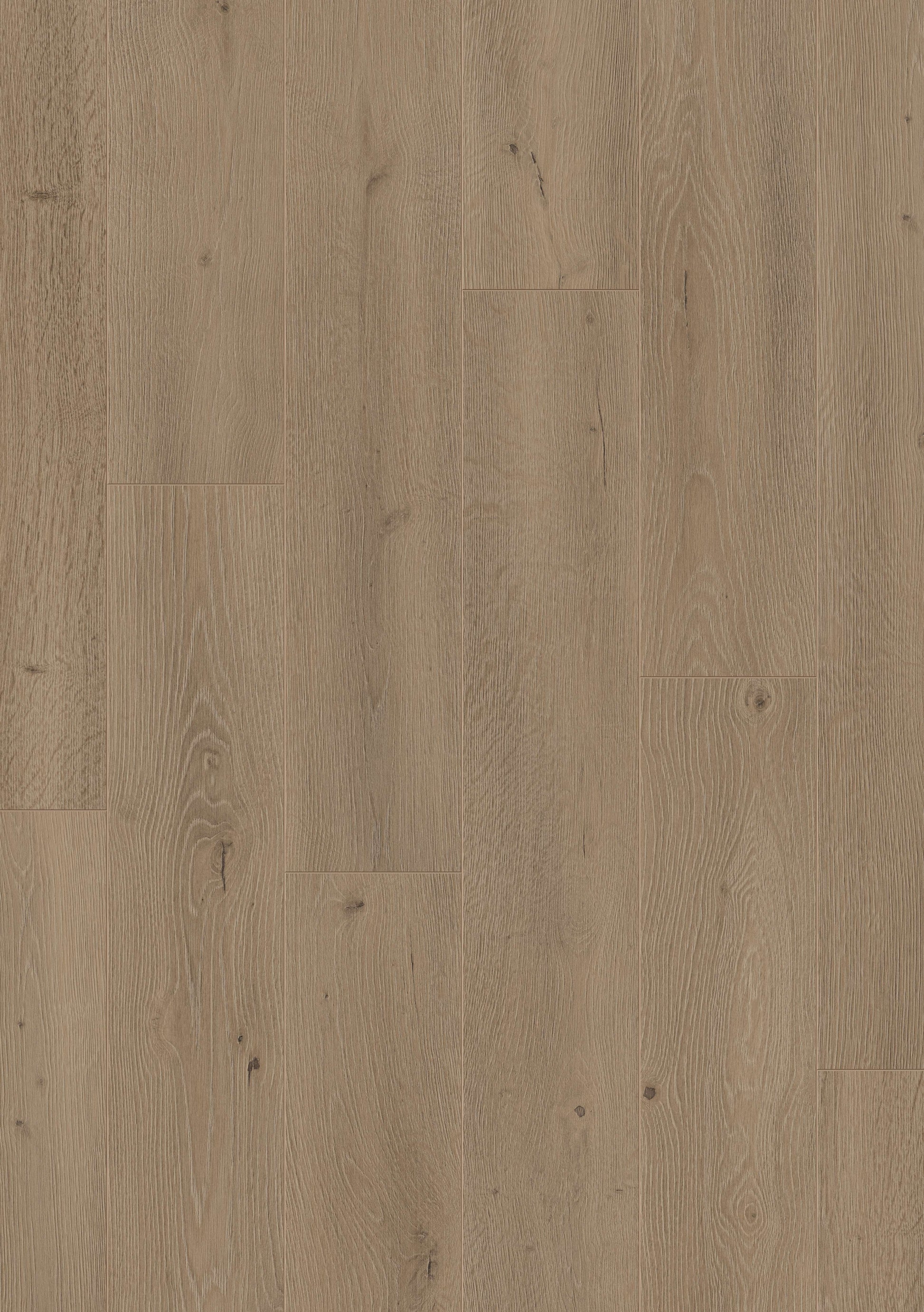 Furlong Neptune Washed Oak Laminate 192x1261mm