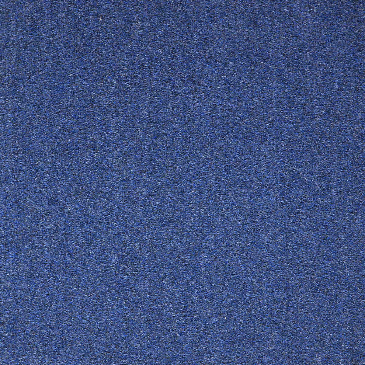 Workspace Cut Pile Coastal Blue carpet tile